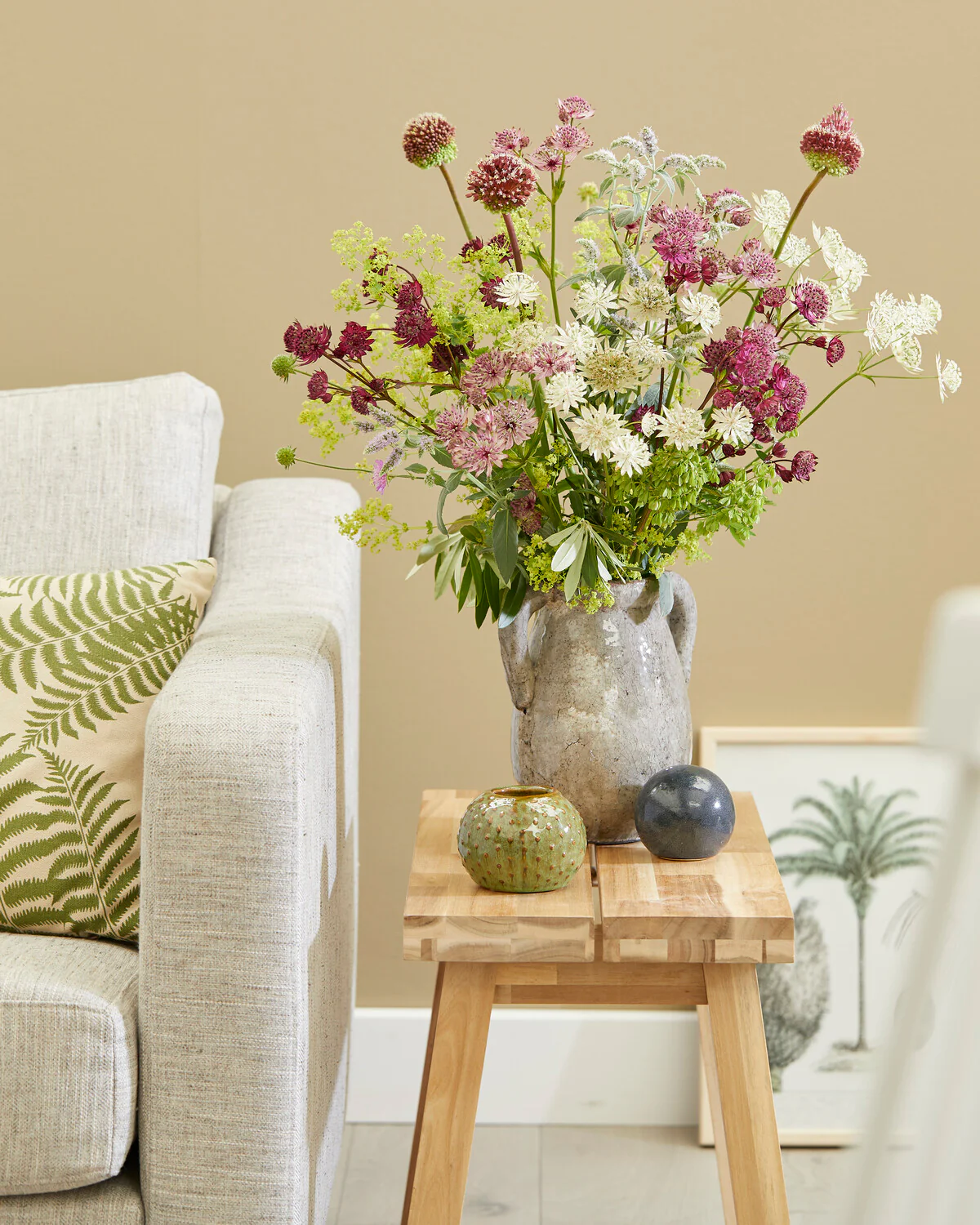 Astrantia 'Sparkling Stars Red' - Image 9