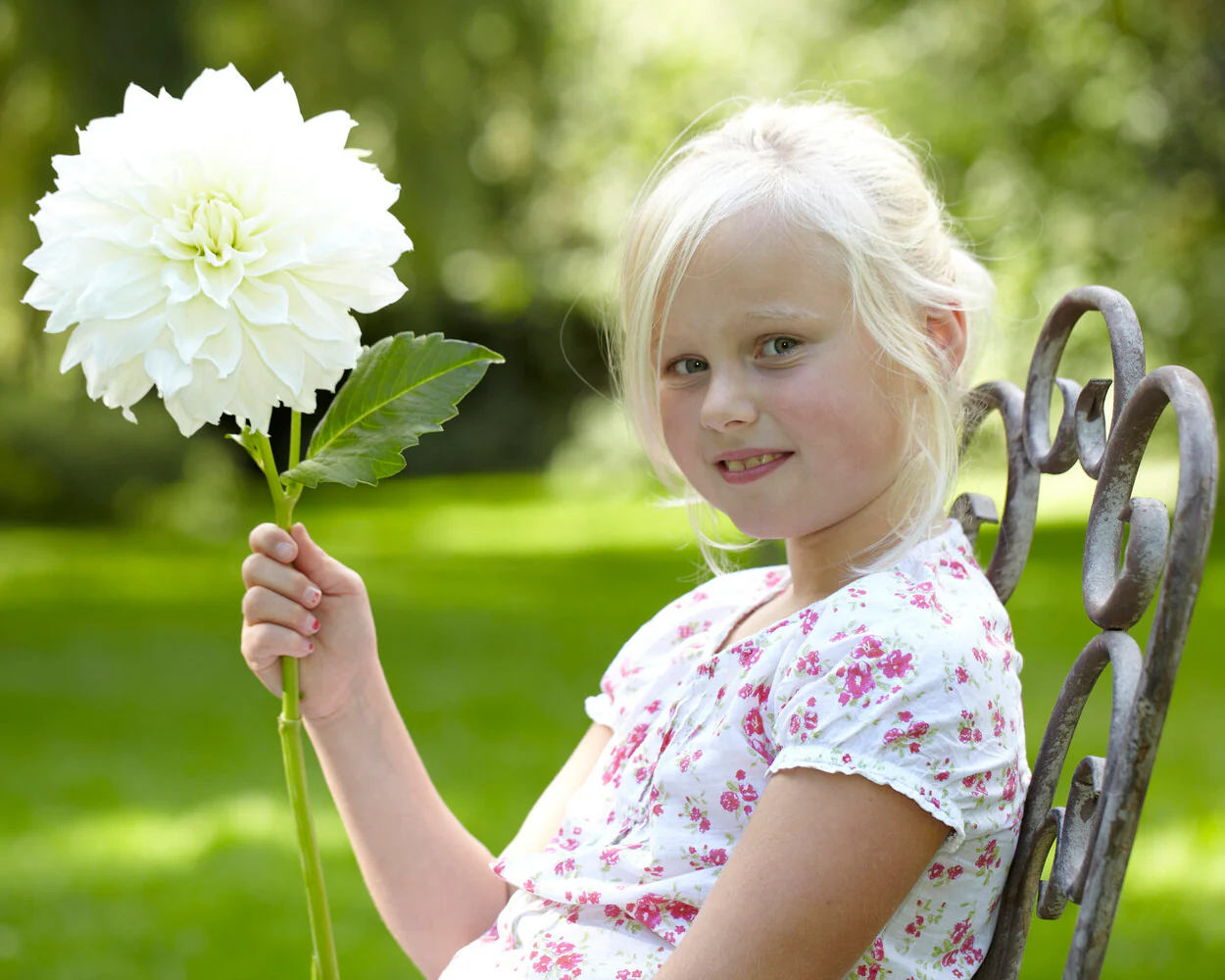 Dahlia 'Fleurel' - Image 6