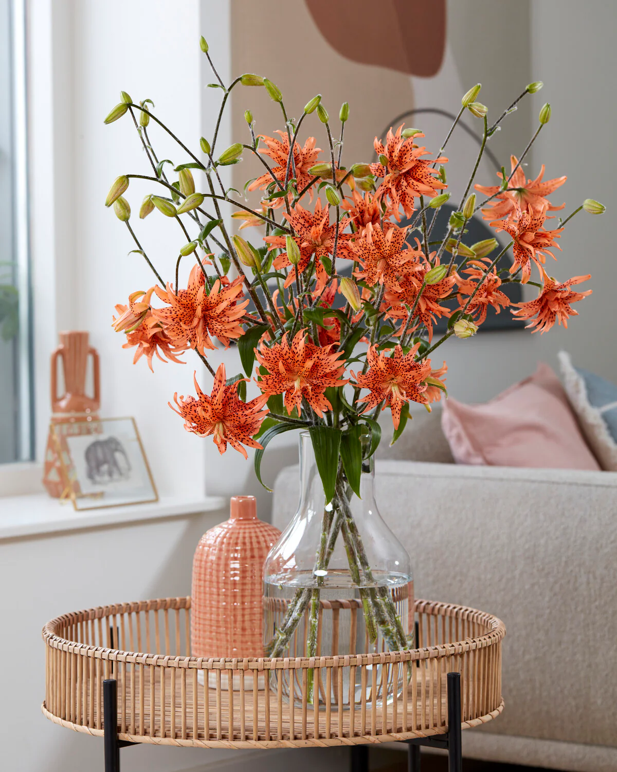 Lily 'Flore Pleno' - Image 4