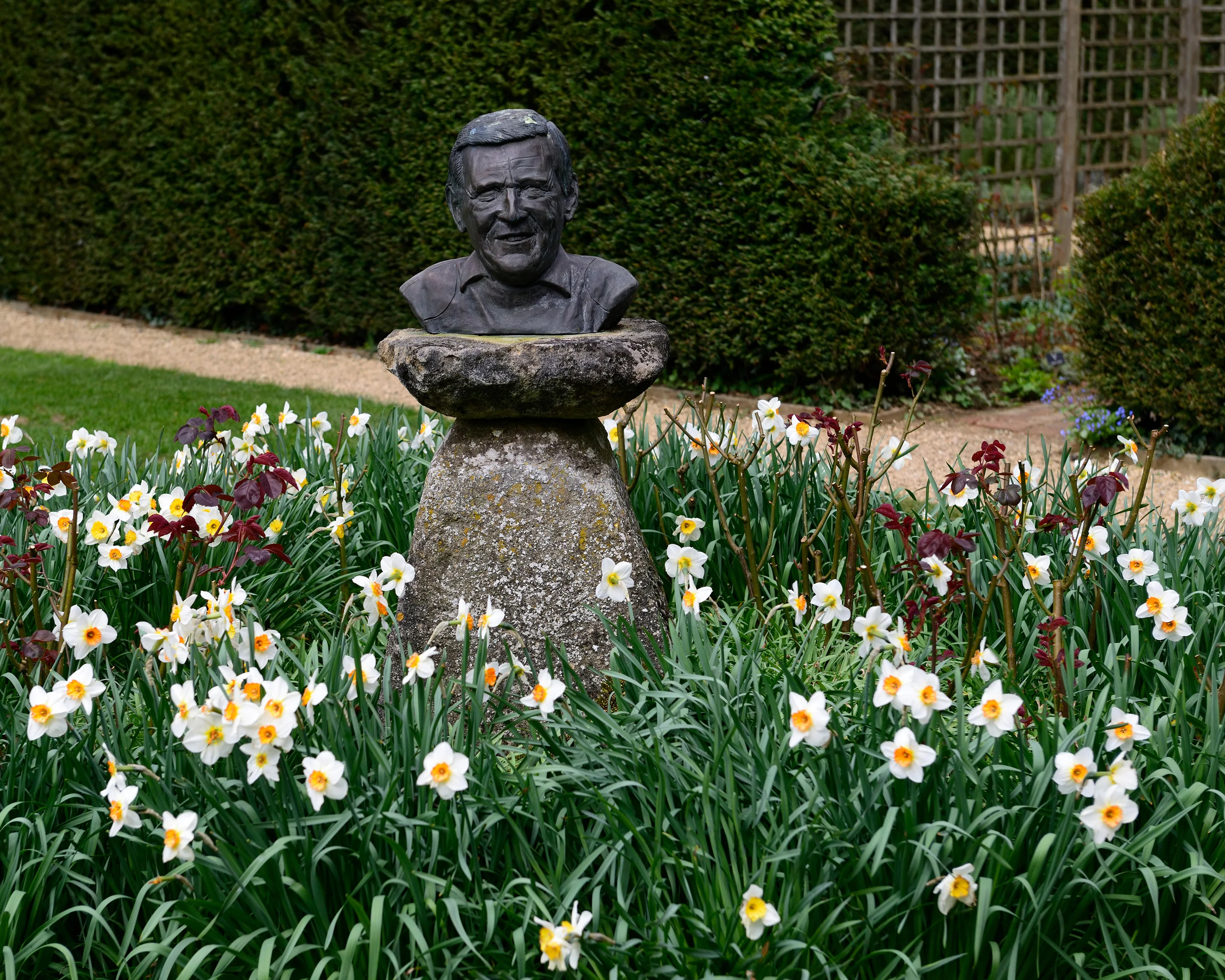 Narcissus 'Barrett Browning' - Image 11