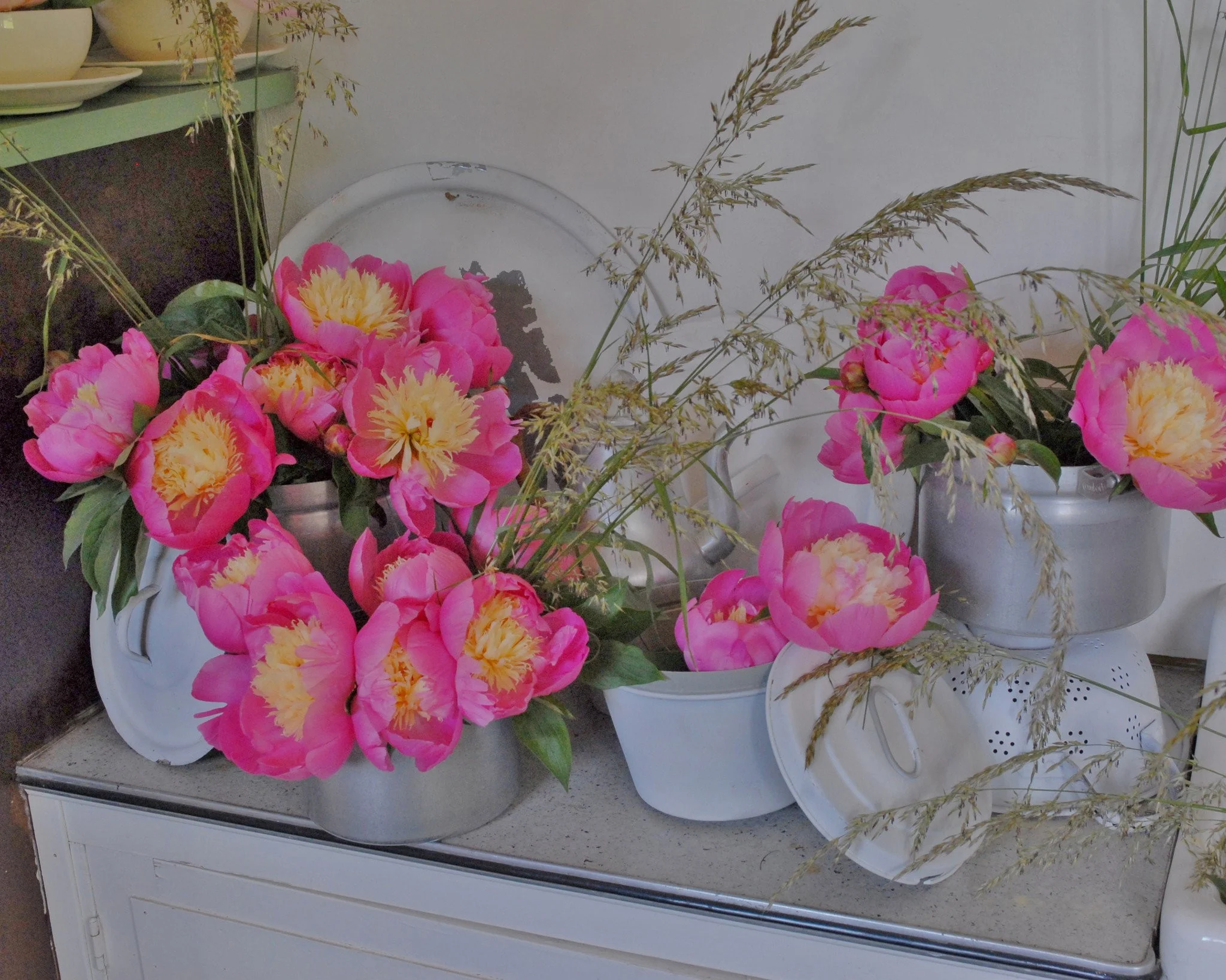 Paeonia 'Bowl of Beauty' - Image 8