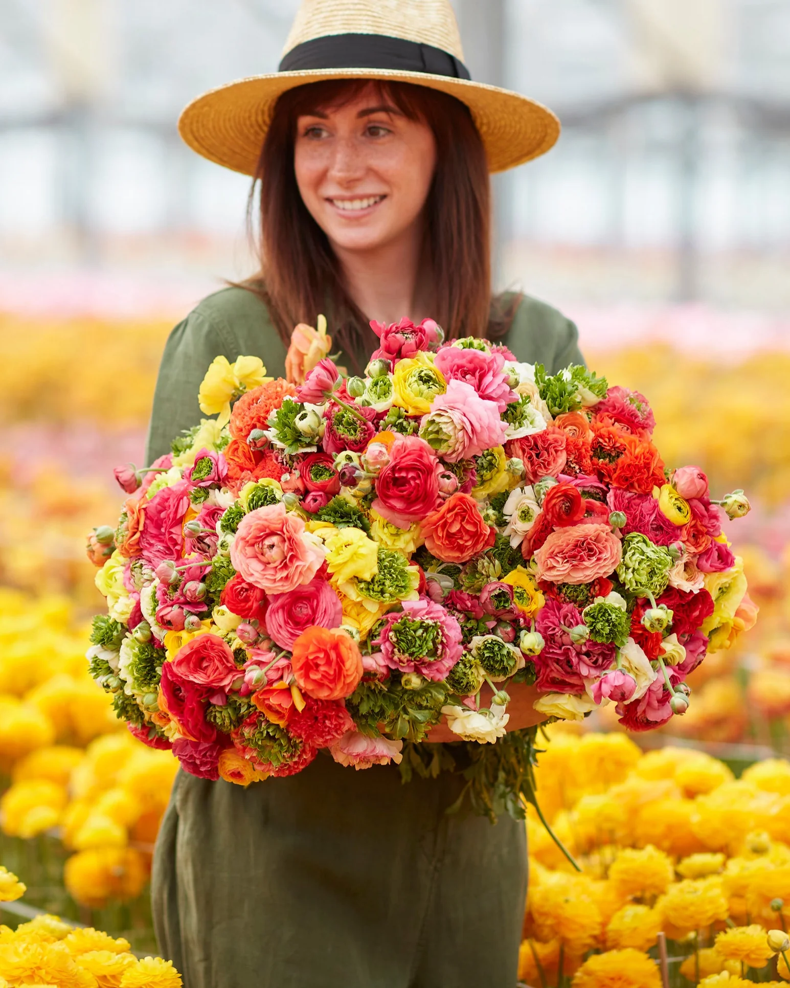 Ranunculus 'Super Green Mix' - Image 2