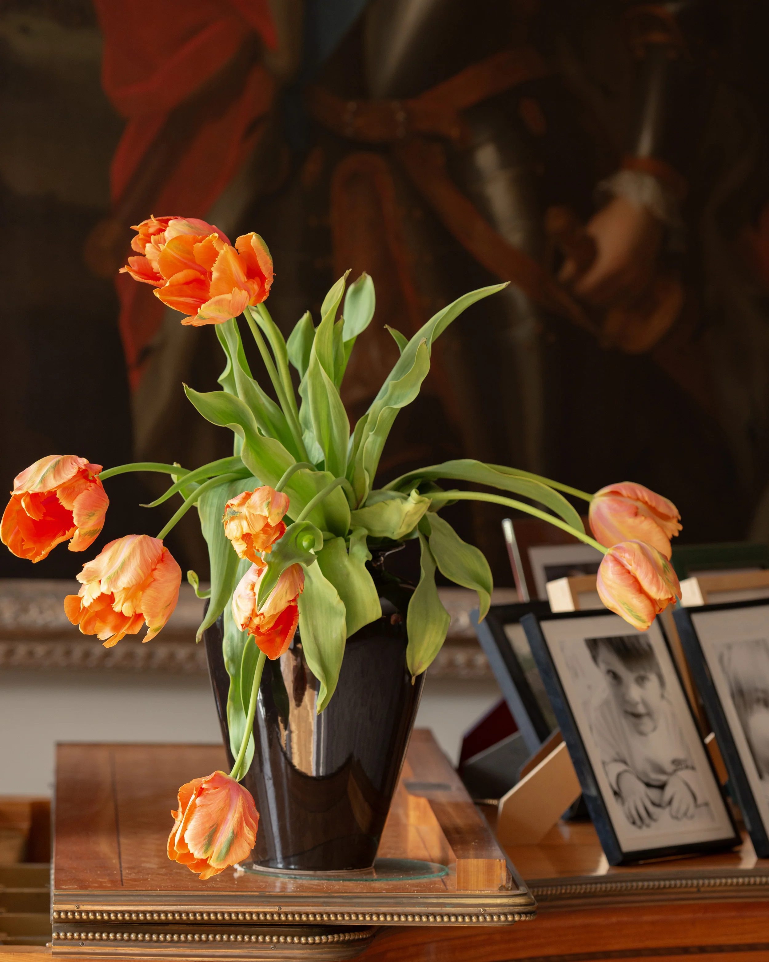 Tulip 'Avignon Parrot' - Image 2
