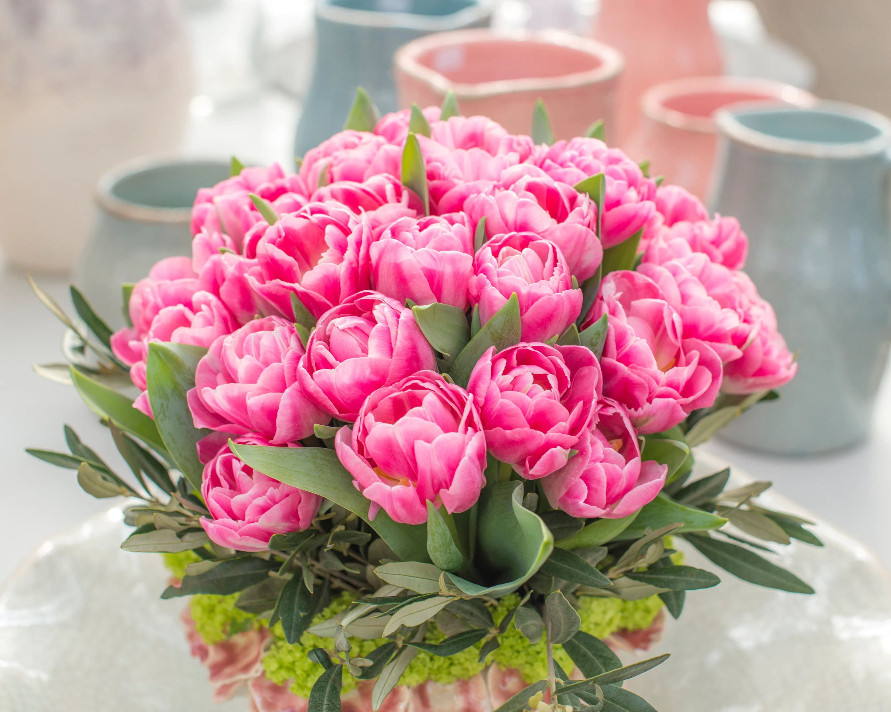Tulip 'Vogue' - Image 6